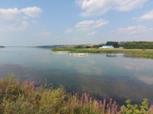 Blackstrap Lake Birding Area