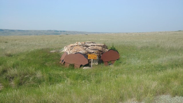 Prairie Grasslands Birding Tour