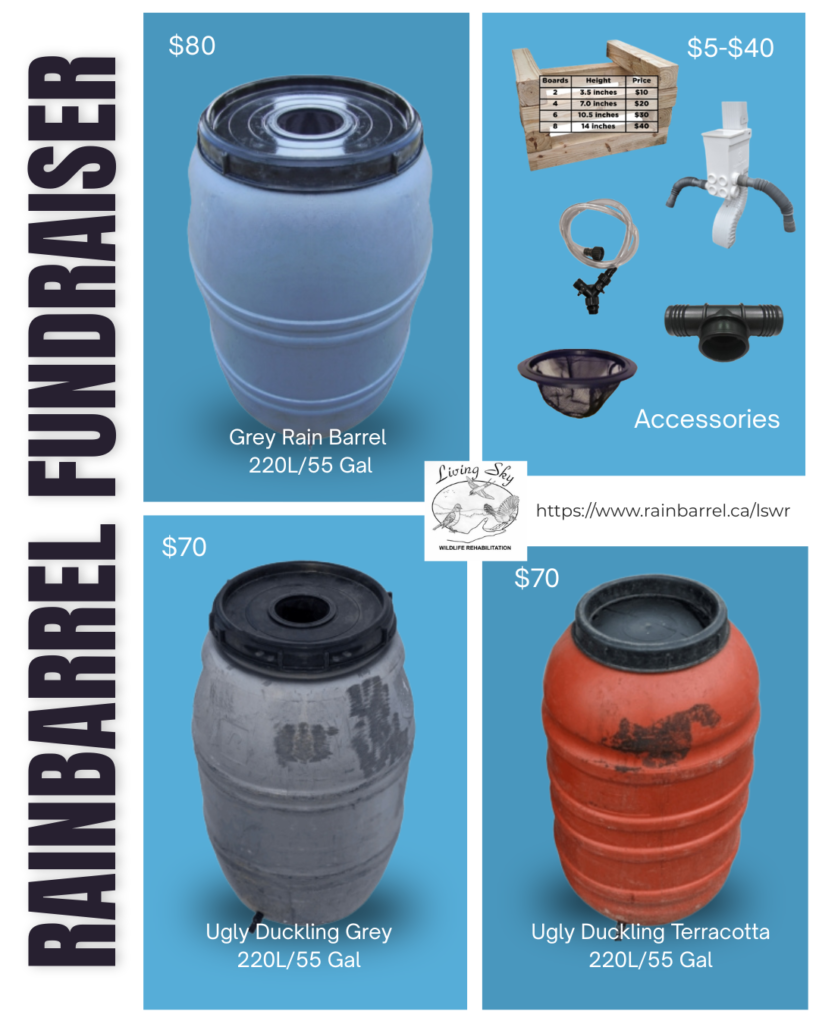 RAINBARREL FUNDRAISERR