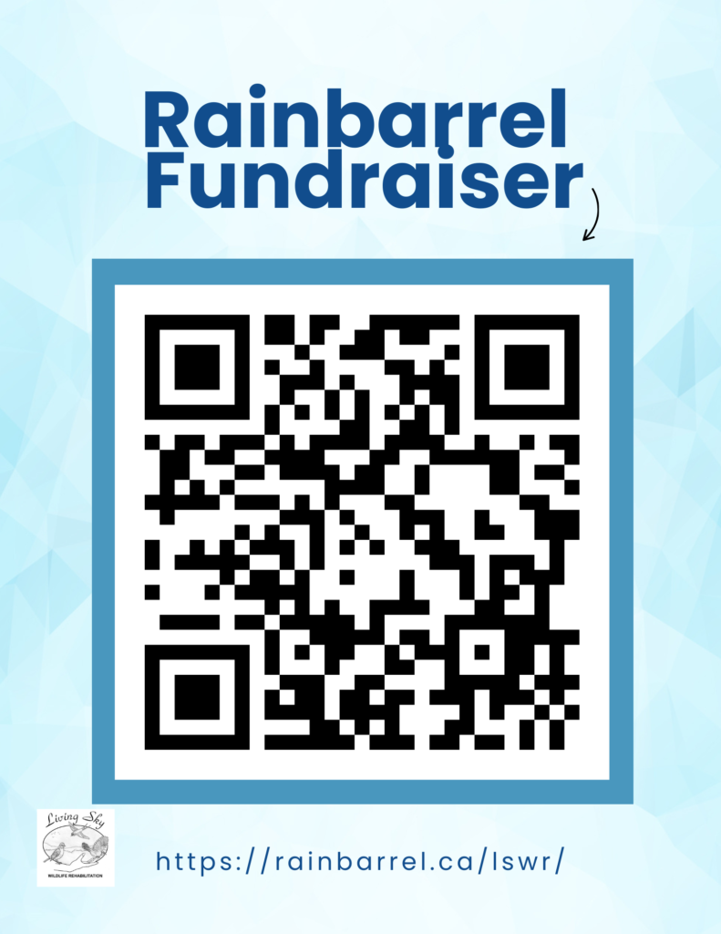 RainBarrel Fundraiser - Living Sky Wildlife Rehabilitation