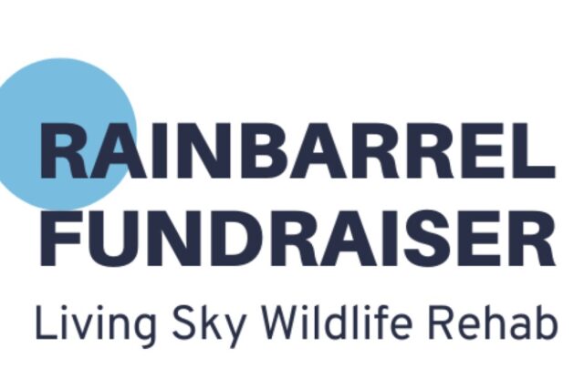 RainBarrel Fundraiser 2026