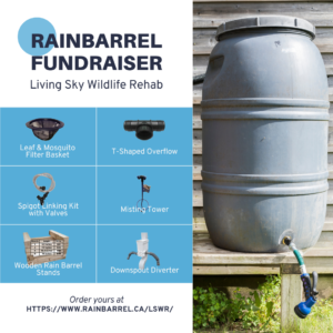 Rainbarrel Fundraiser for Living Sky Wildlife Rehabilitation