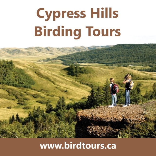 Cypress Hills Birding Tours