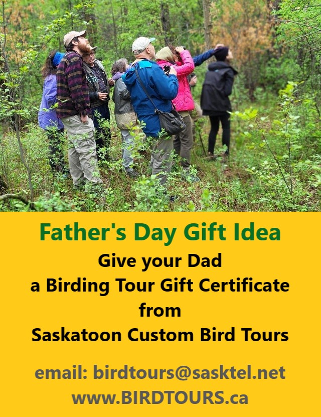 Father's Day Gift Idea: Give your Dad a Birding Tour Gift Certificate from Saskatoon Custom Bird Tours