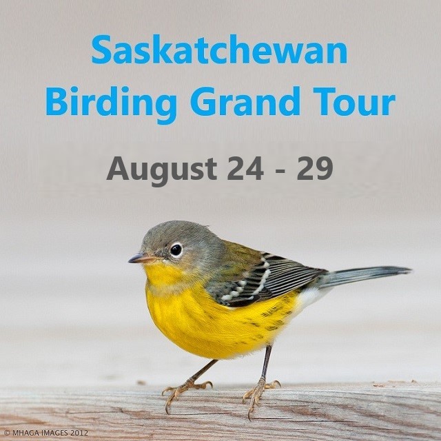 Saskatchewan Birding Grand Tour August 24 - 29