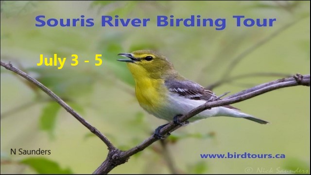 Souris River Birding Tour: July 3 - 5