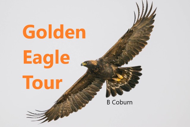 Golden Eagle Tour
