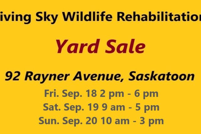 Yard Sale: Great bargains from September 18 – 20